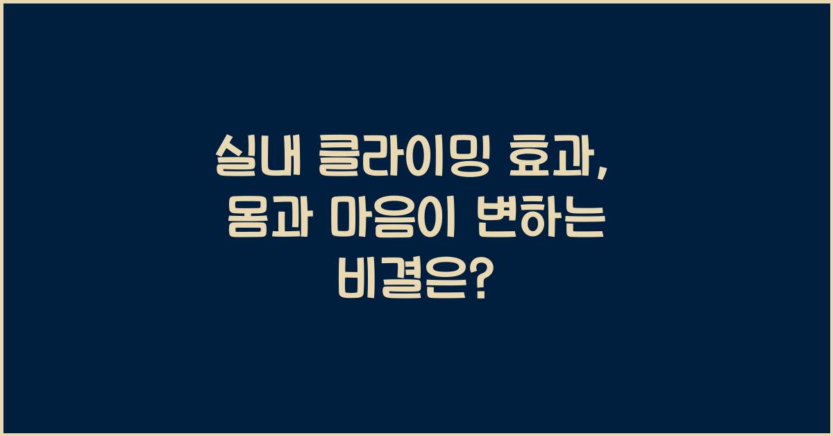 실내 클라이밍 효과