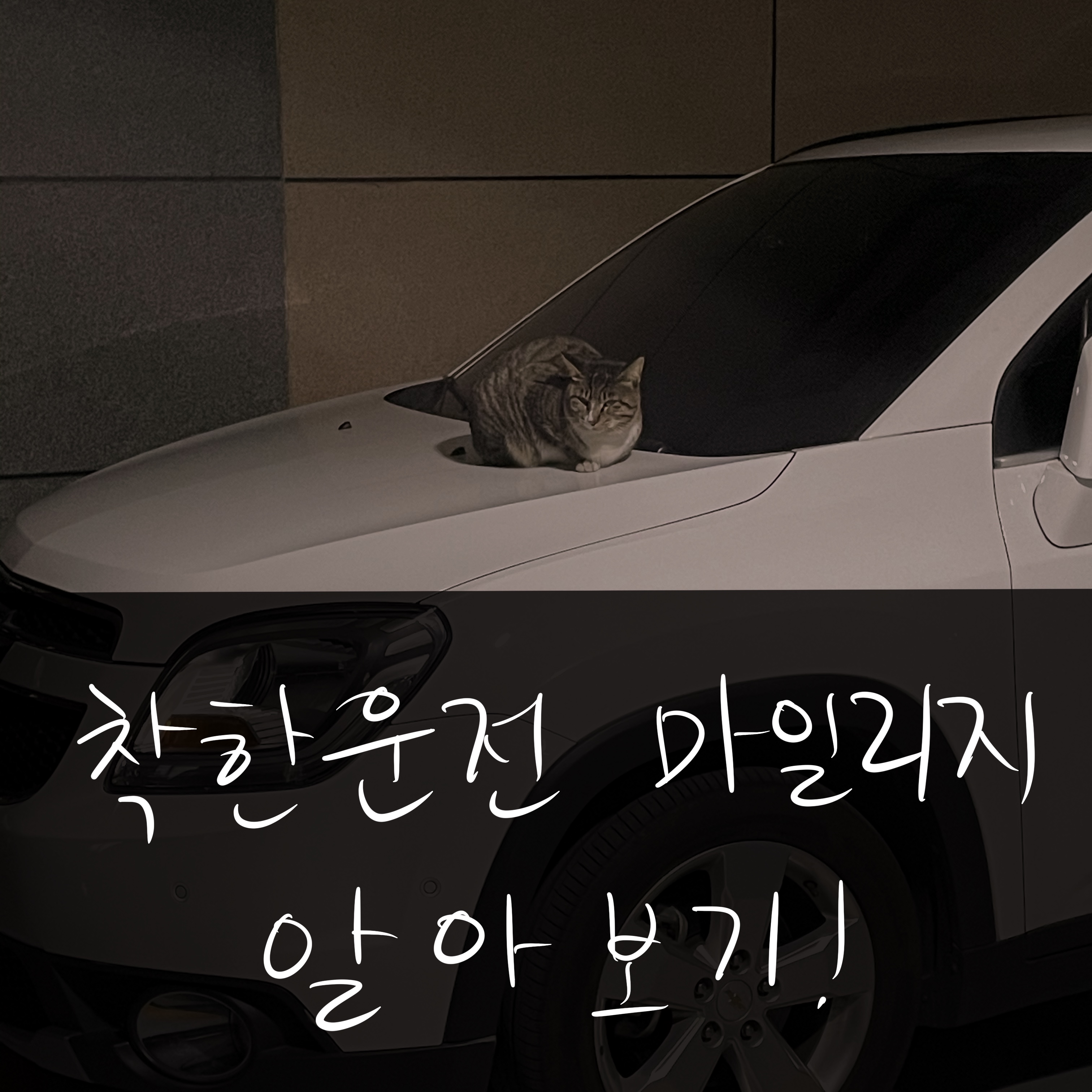  경찰청교통민원24, 이파인 2편 착한운전 마일리지 신청방법