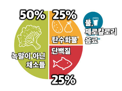 원 플레이트 밀의 구성 요소 번역본