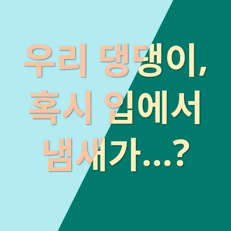 강아지 구강 건강_1