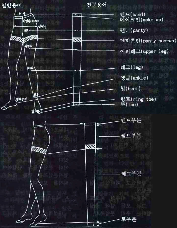 팬티스타킹의 각 부위별 명칭