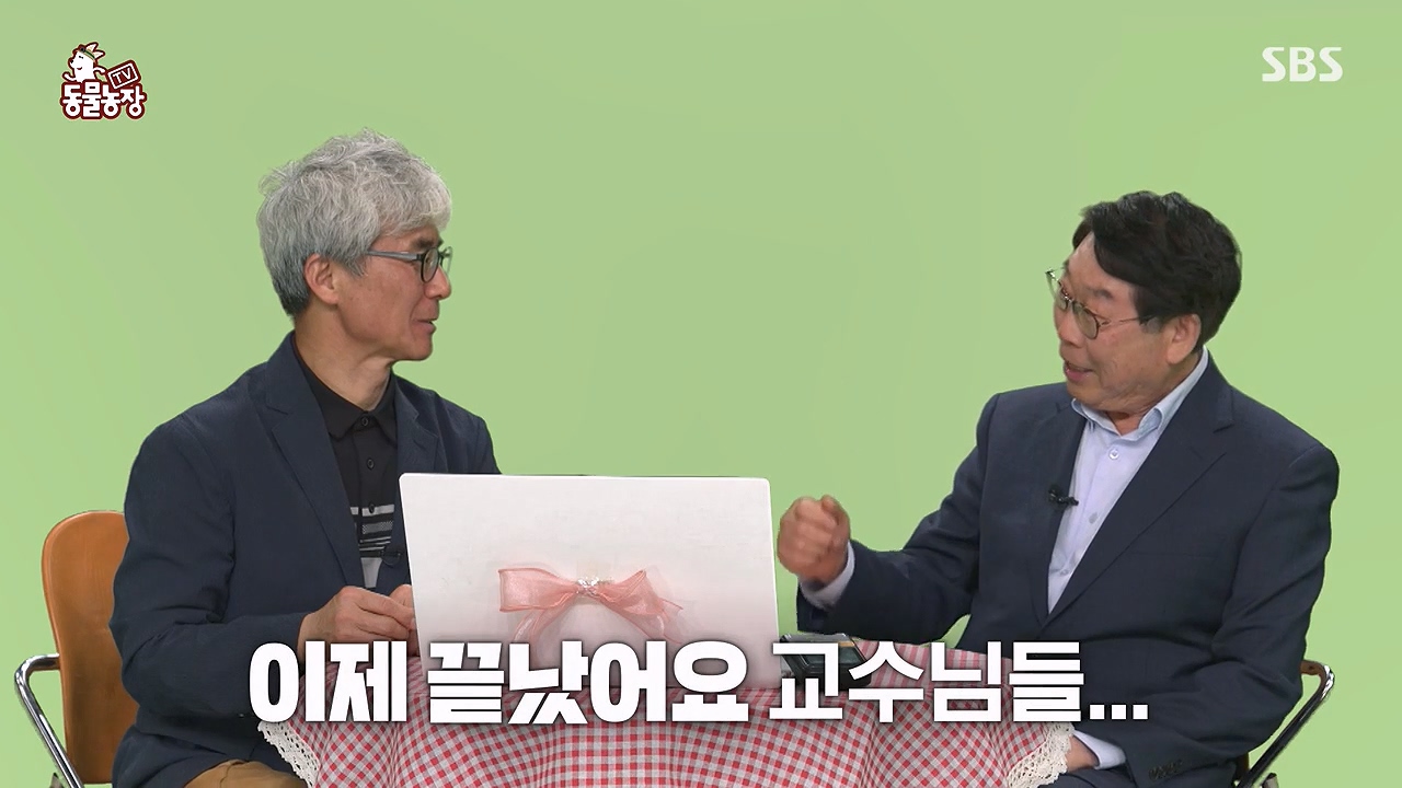 TV 동물농장.E1172.240520p-NEXT.mp4_20240519_163733.259.jpg