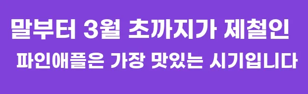 말부터 3월 초까지가 제철인 파인애플은 가장 맛있는 시기입니다