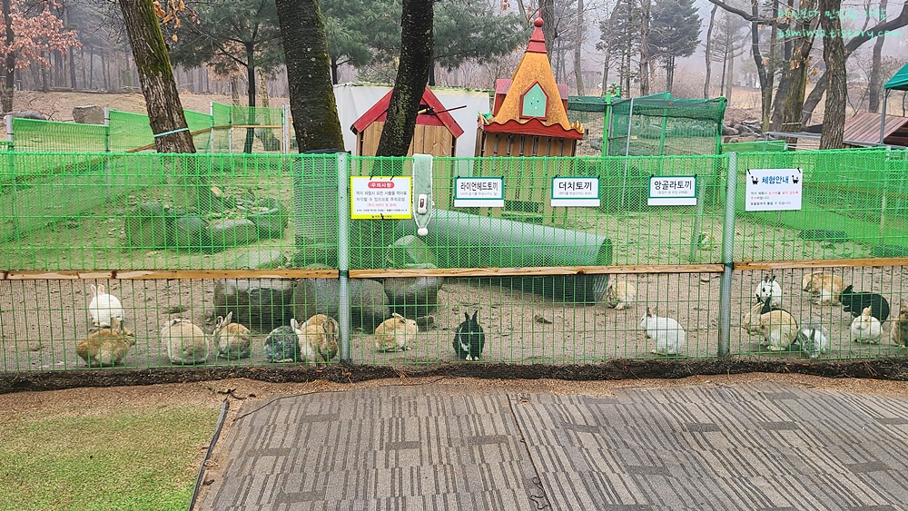 덕평공룡수목원-동물원