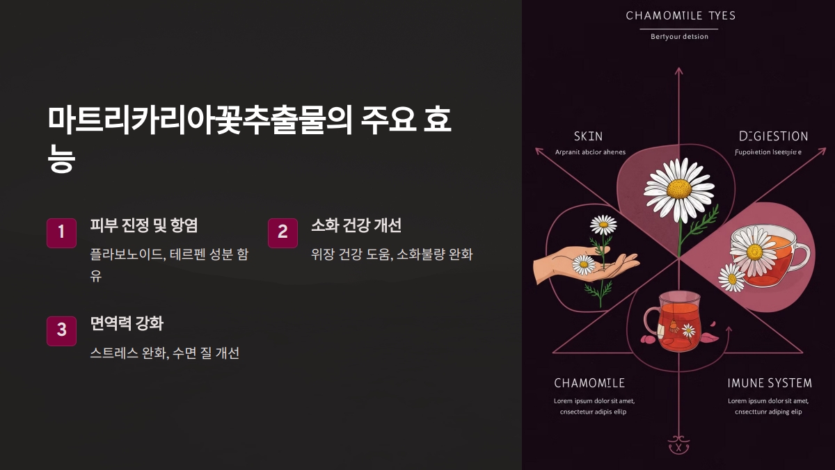 마트리카리아꽃추출물 효능