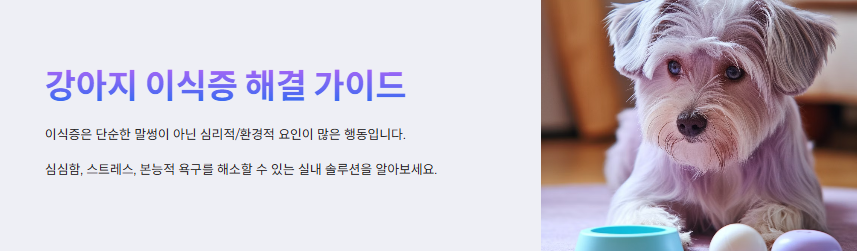 강아지 이식증