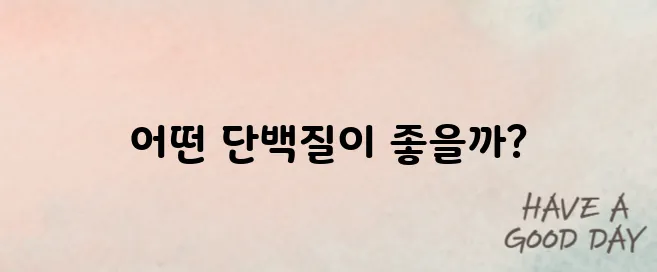 헬스 보충제 추천 단백질 제품 비교