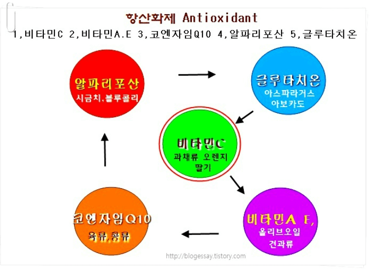 갱년기 증상 갱년기 영양제 추천