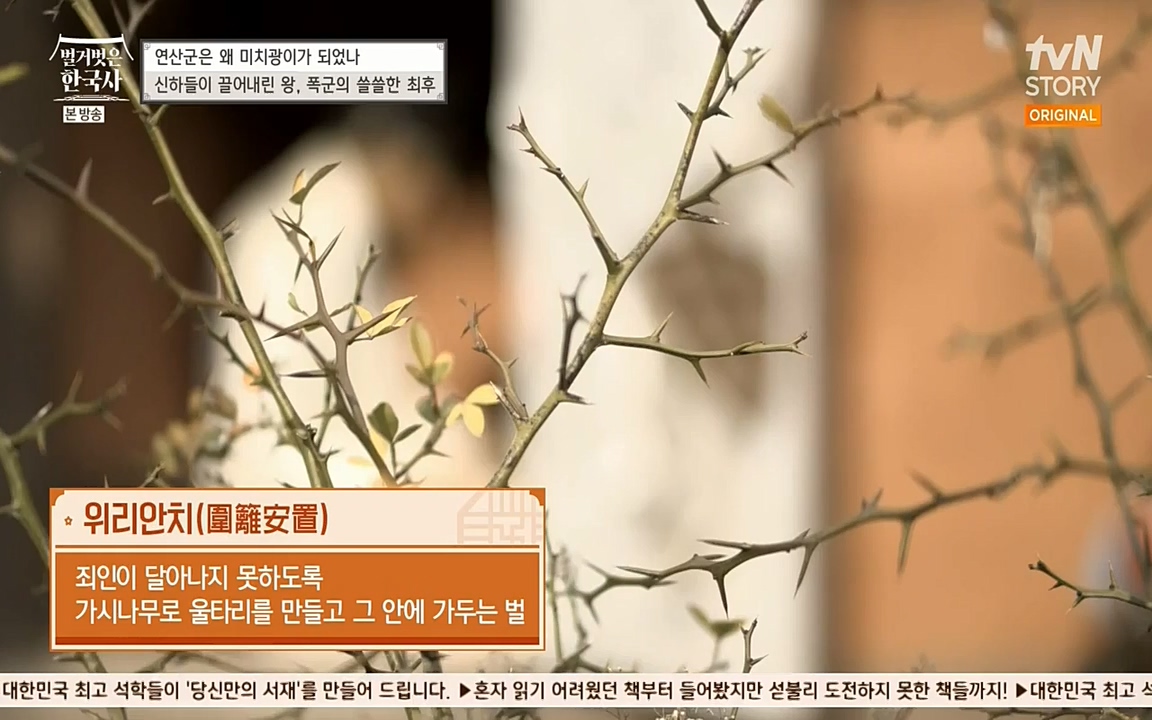 벌거벗은 한국사.E02.220507p-NEXT.mp4_20220614_205736.745.jpg