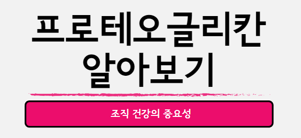  프로테오글리칸 : 조직 건강의 중요성