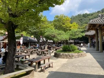 민속촌 입장료 한국민속촌 용인 제주 민속촌 맛집 놀이기구_23