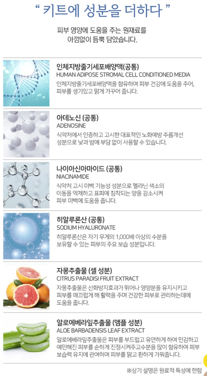 블랑두부_누본셀_고백앰플11