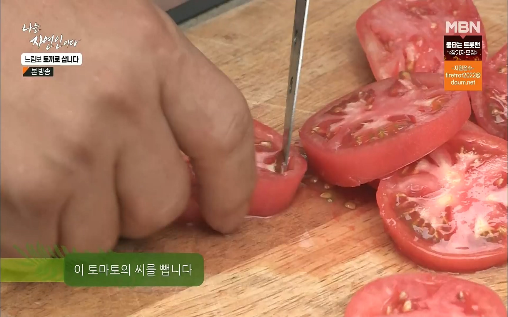 나는 자연인이다.E514.220810p.H264-F1RST.mp4_20220811_202559.647.jpg