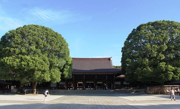 큰 나무가 좌우에 배치되어 있고 가운데에 전통적인 모양의 건물이 있다.