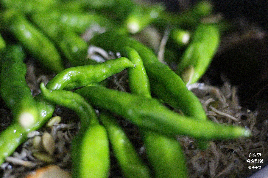 그 효능과 하루권장량 체크 마그네슘 폭탄 호박씨와 멸치 4