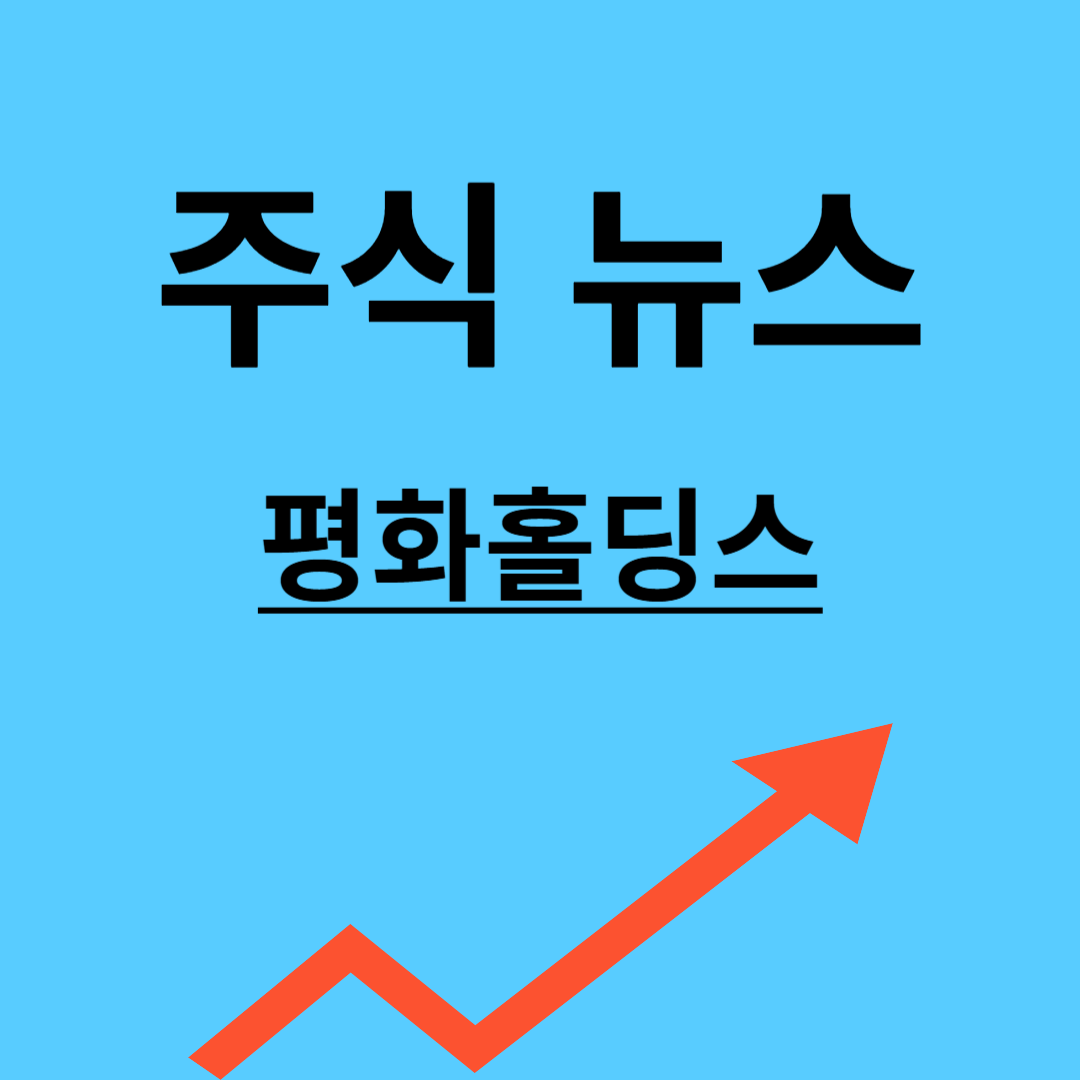 평화홀딩스