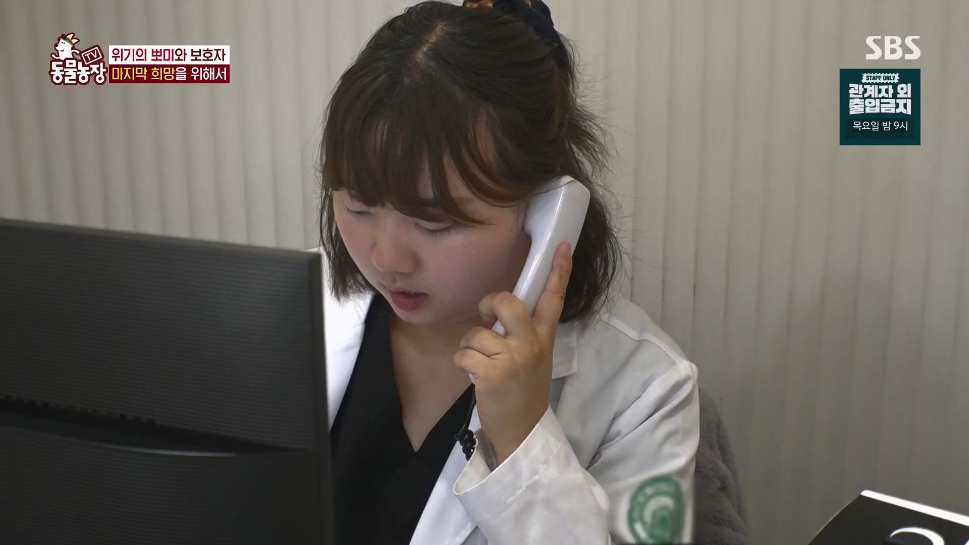 TV 동물농장.E1123.230604p.H264-F1RST.mp4_20230604_173308.148.jpg