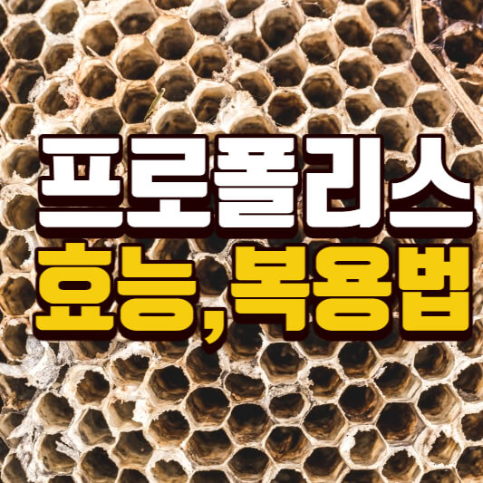  프로폴리스 효능 7가지와 부작용 및 복용법 정리