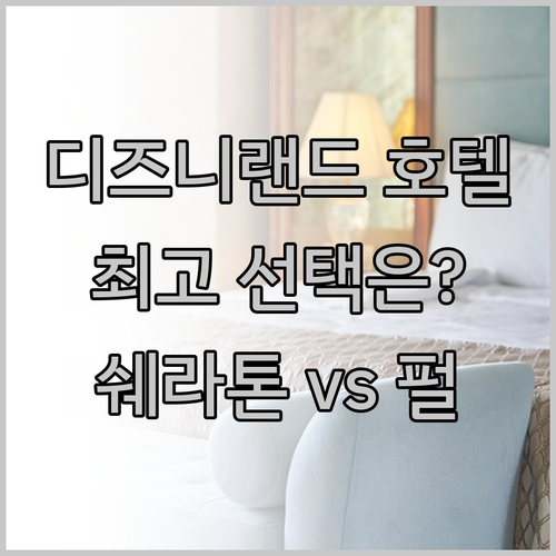 디즈니랜드 호텔 고민 끝 최고의 선택