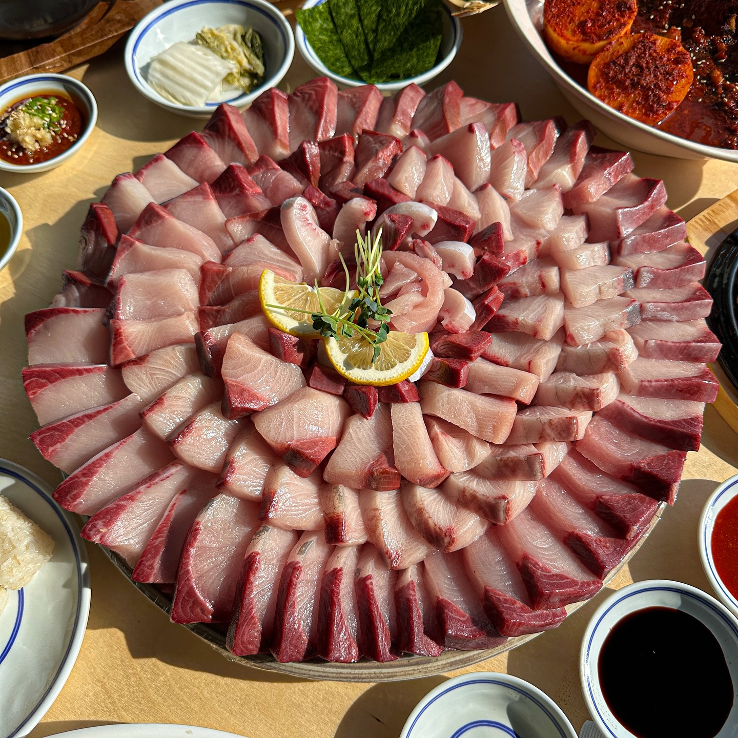 팔딱 사진 6
