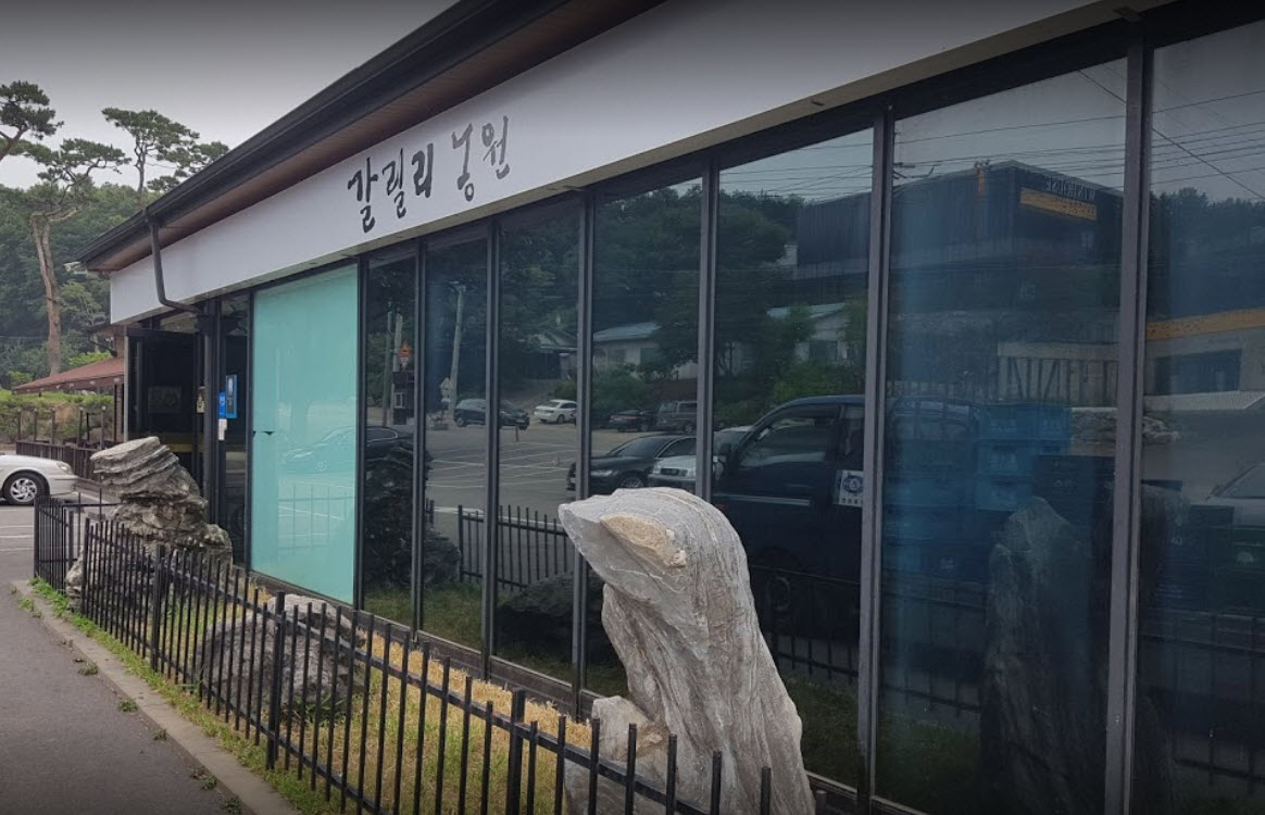  서민갑부 파주 장어구이 가격 및 연매출 100억 장어구이 식당 위치