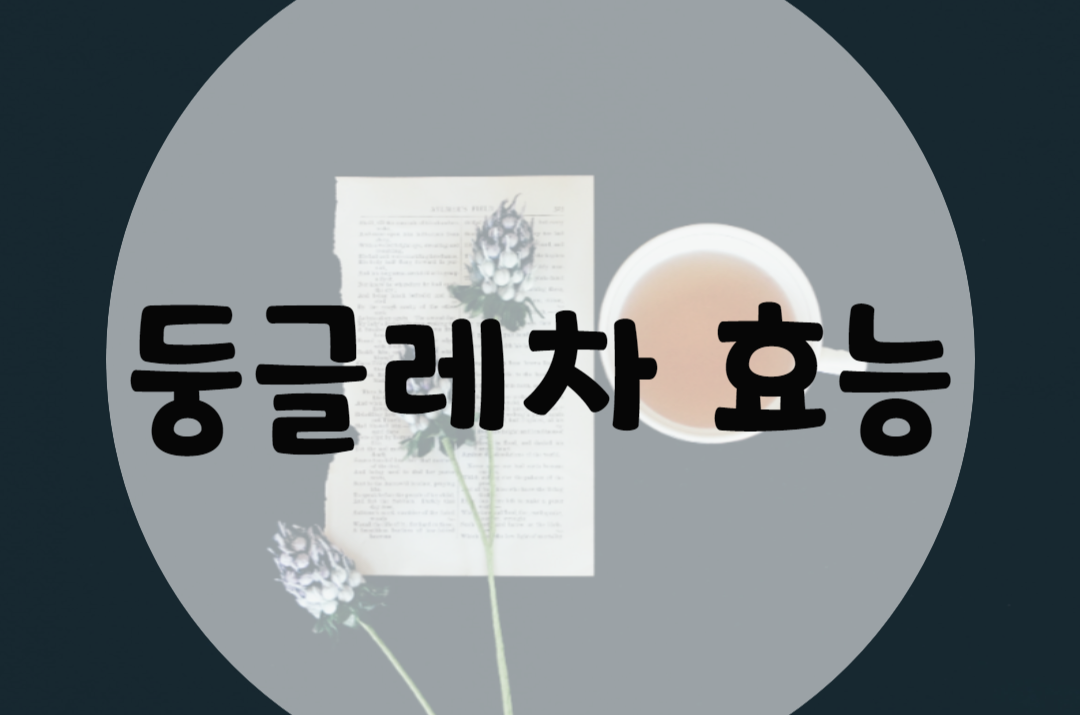  둥글레차 효능 11가지