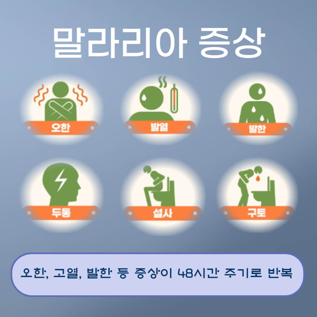 말라리아 증상