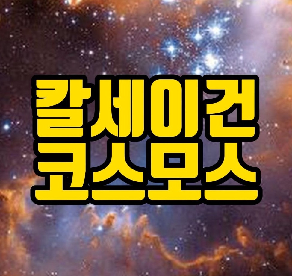  칼세이건 "코스모스" 우주에의 탐험과 과하콰 철학 [독서의힘]
