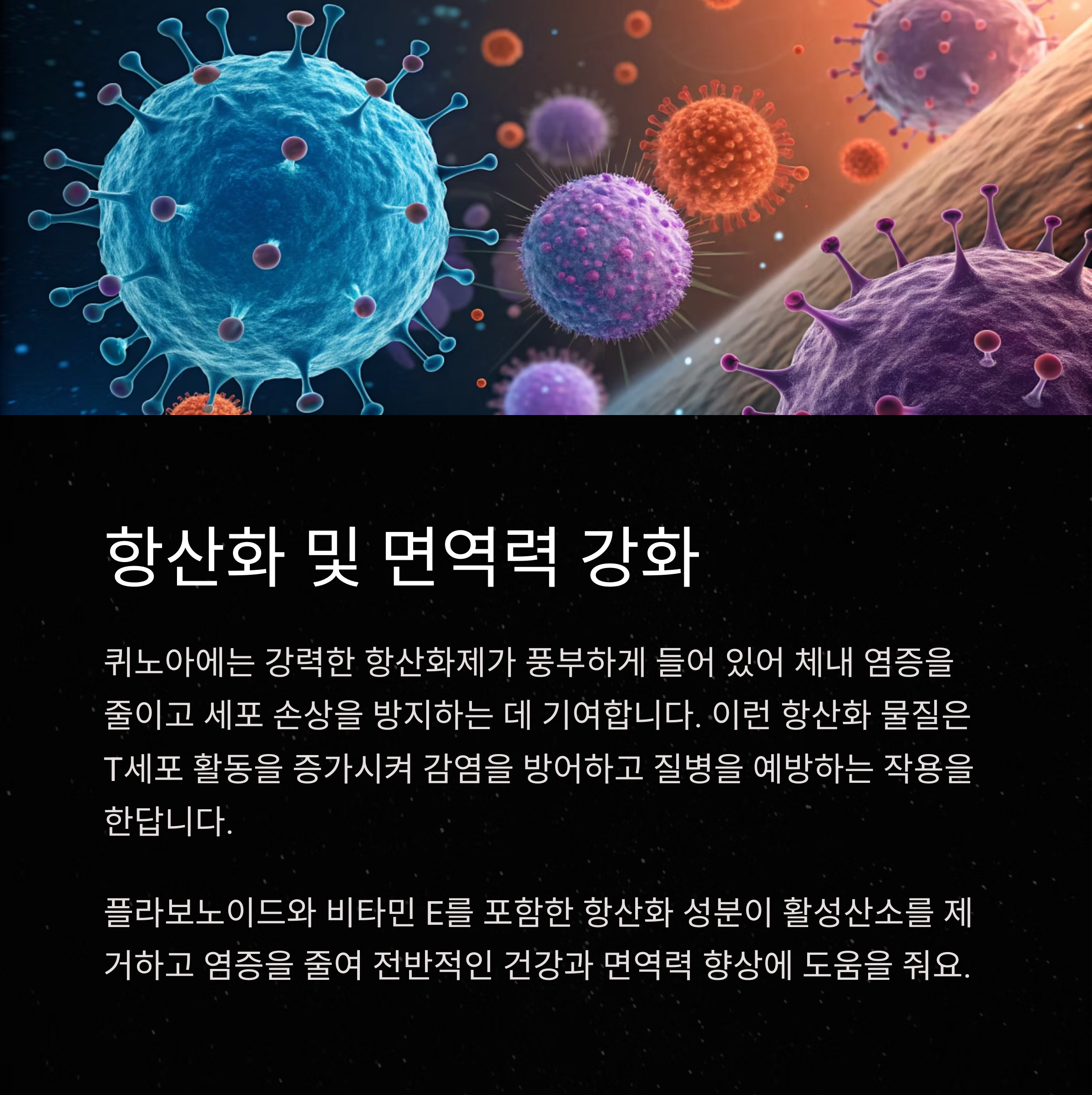 퀴노아 효능
