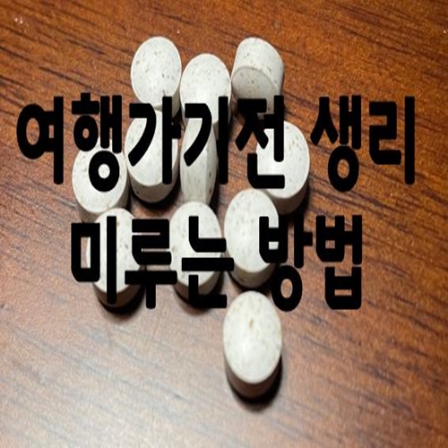  여행가기전 생리 미루는 방법(피임약)