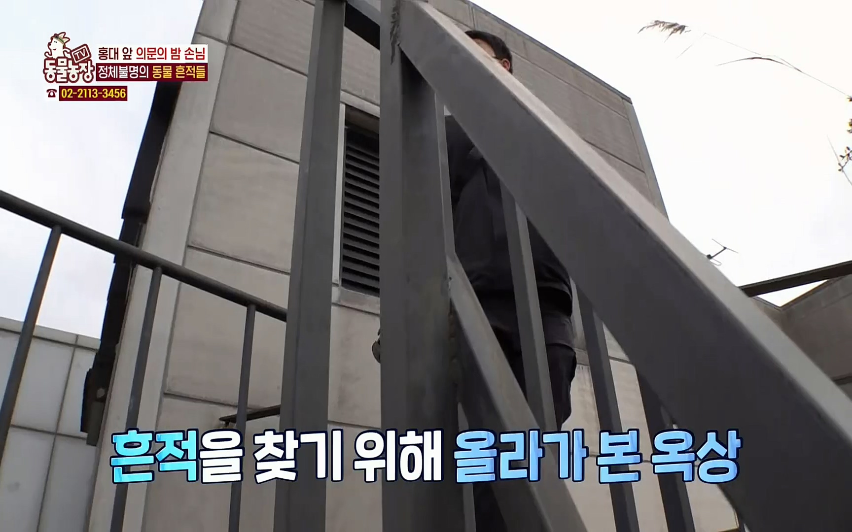 TV 동물농장.E1066.220424p.H264-F1RST.mp4_20220424_201023.979.jpg