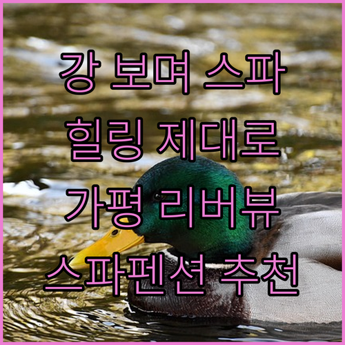 강 바라보며 스파 힐링 제대로! 가평