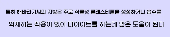  특히 해바라기씨의 지방은 주로 식물성 콜레스테롤을 생성하거나 흡수를 억제하는 작용이 있어 다이어트를 하는데 많은 도움이 된다