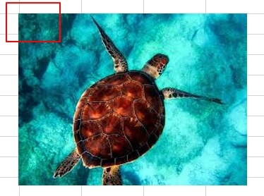 엑셀 사진 삽입 쉽게 하는 법