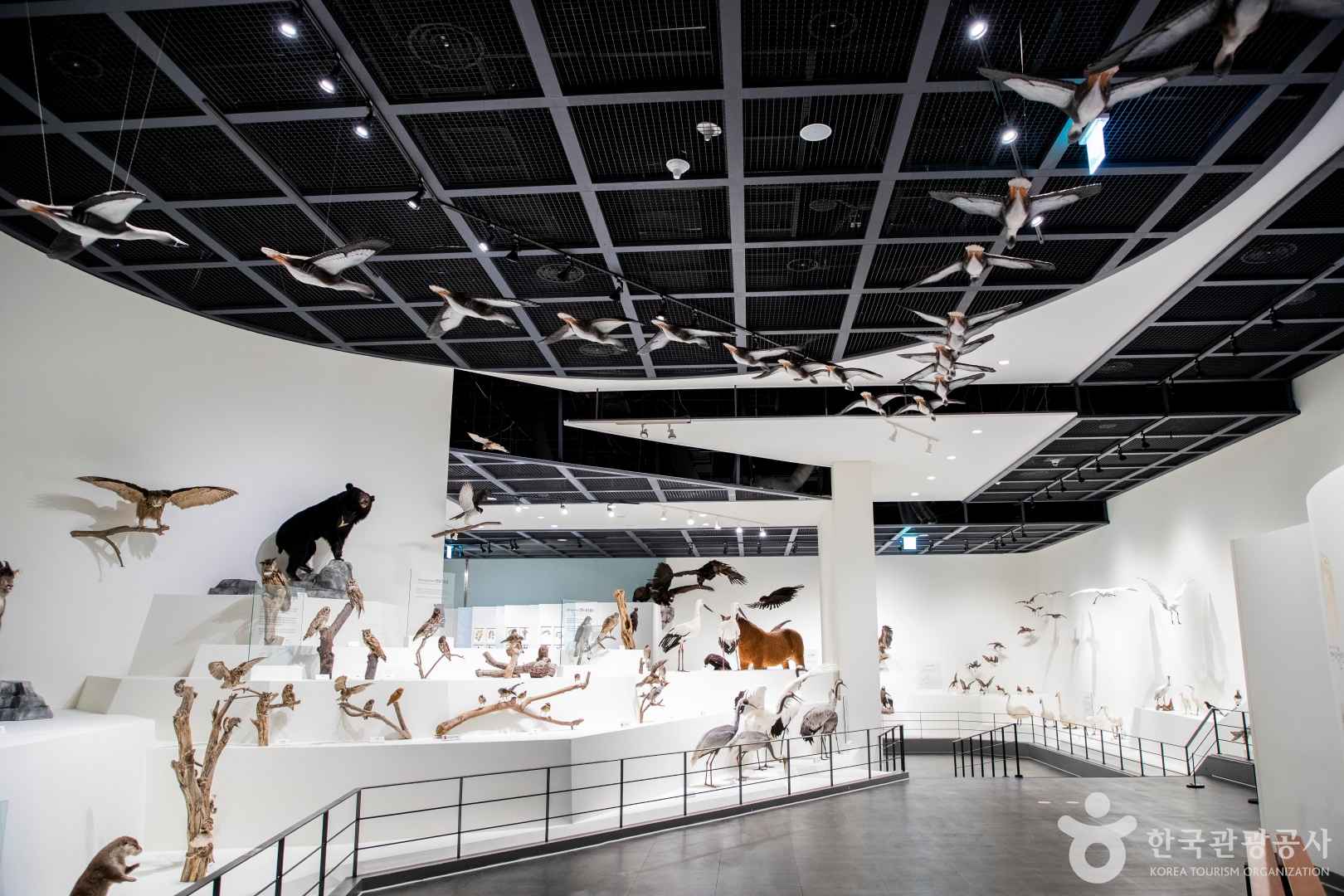 한밭수목원