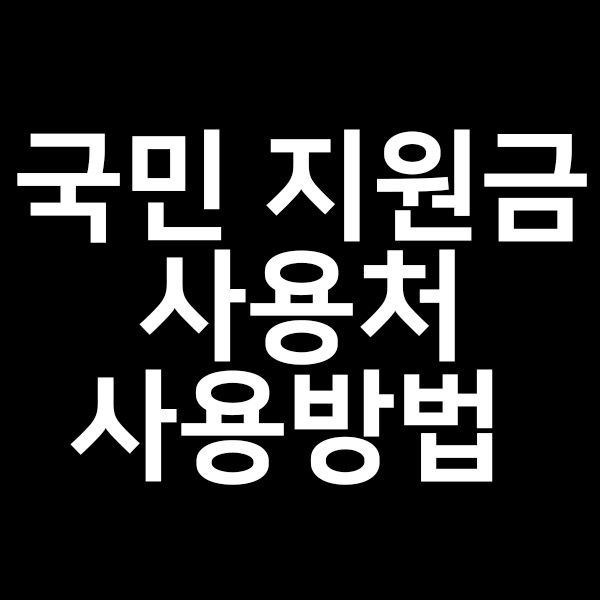  국민 지원금 사용처과 사용방법