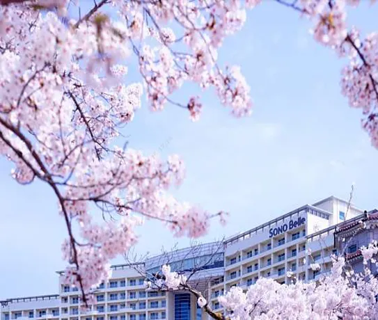 소노벨 경주