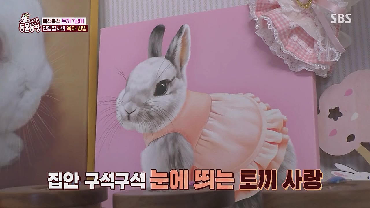 TV 동물농장.E1104.230123p.WANNA.mp4_20230123_195416.506.jpg