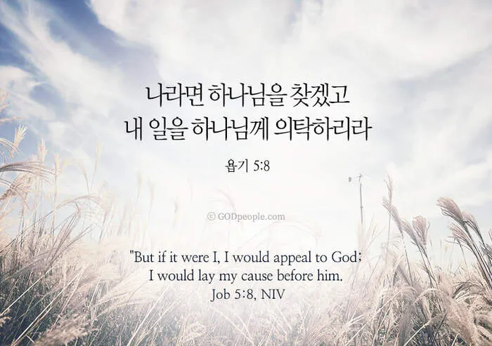 욥기 5장 해석 성경 문구_4
