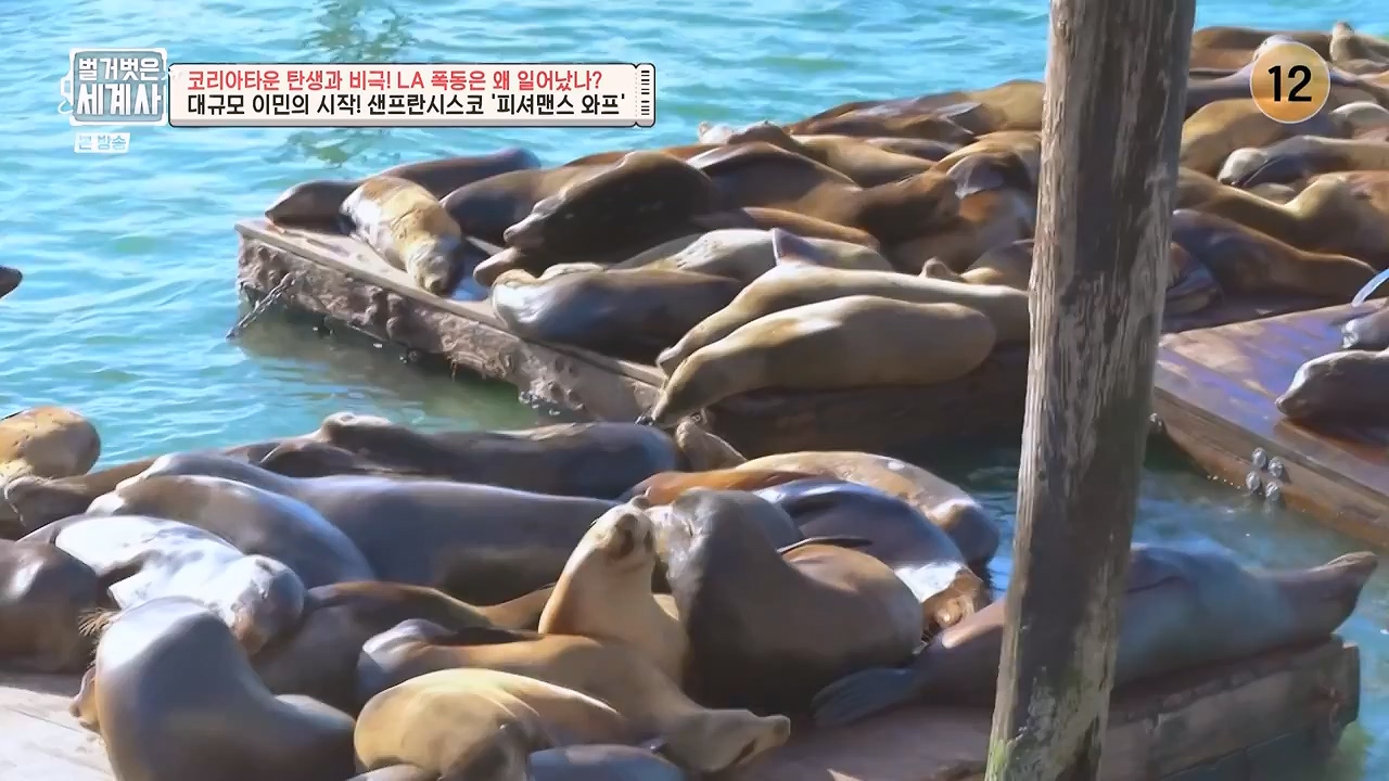 벌거벗은 세계사.E127.231129p-NEXT.mp4_20240608_171215.170.jpg