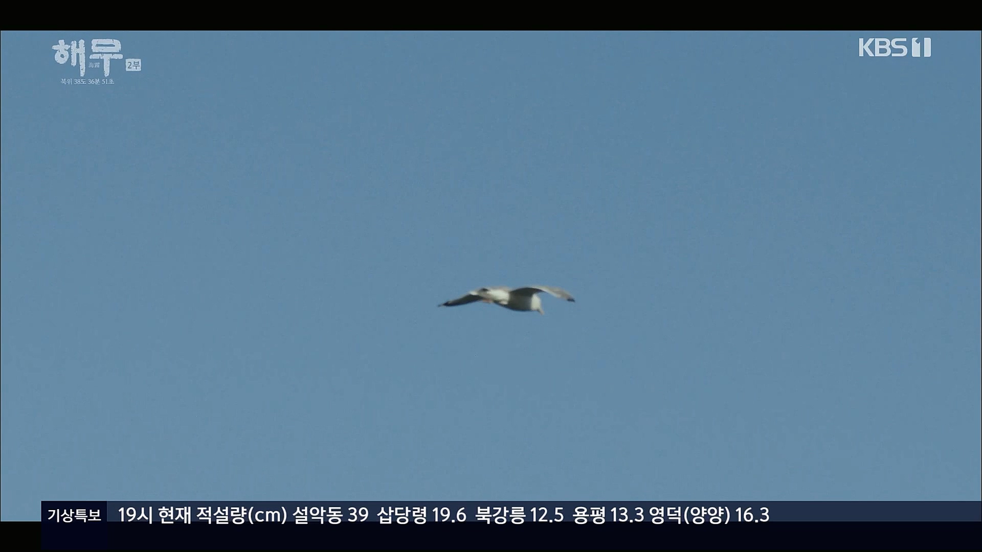KBS 특집 다큐멘터리 해무.E02.230115p.H264-F1RST.mp4_20230116_195645.998.jpg