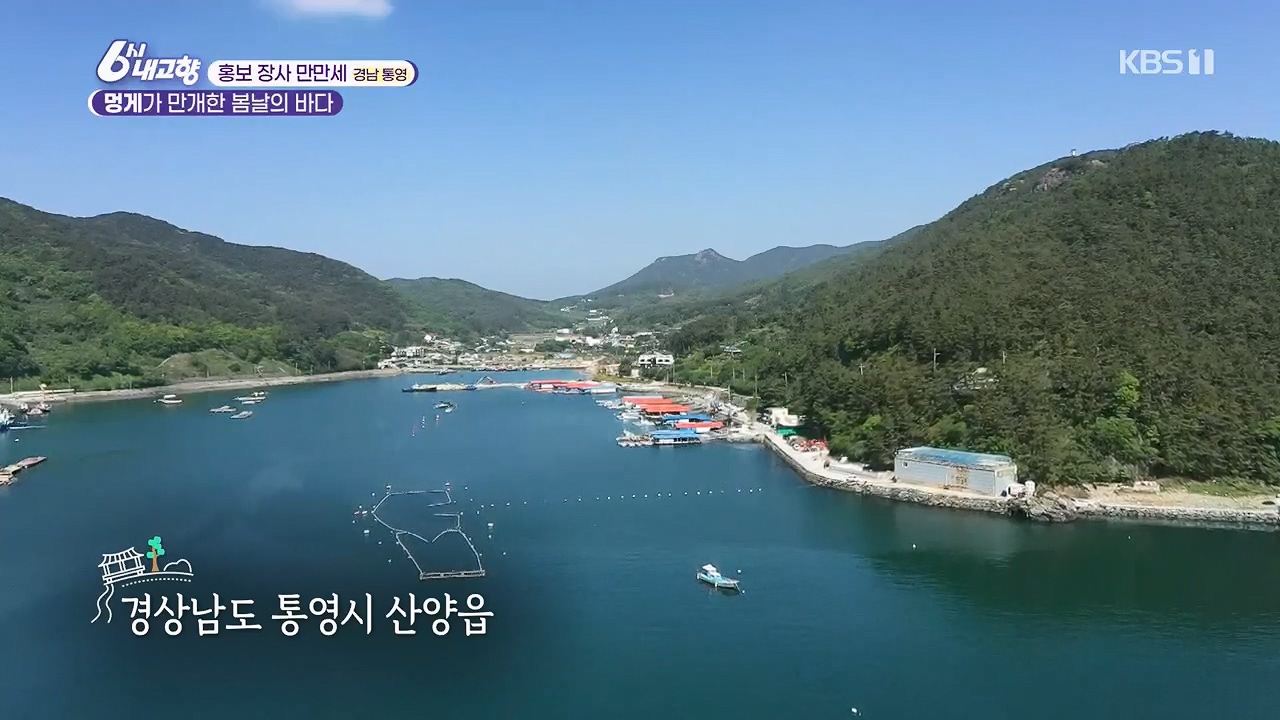 6시 내고향.E7779.230503p.H264-F1RST.mp4_20230505_181031.321.jpg