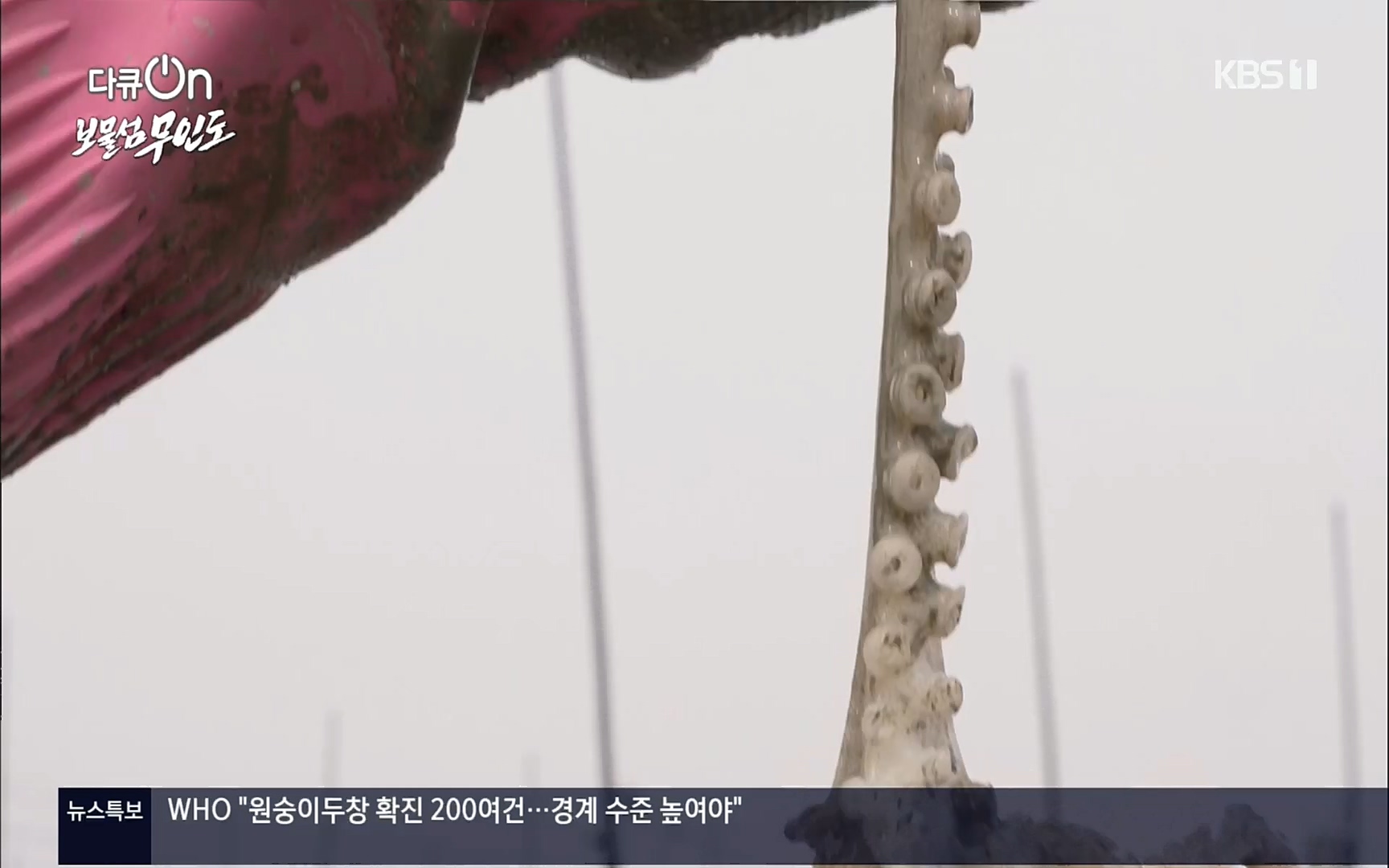 다큐 On.E141p.H264-F1RST.mp4_20220530_202703.915.jpg