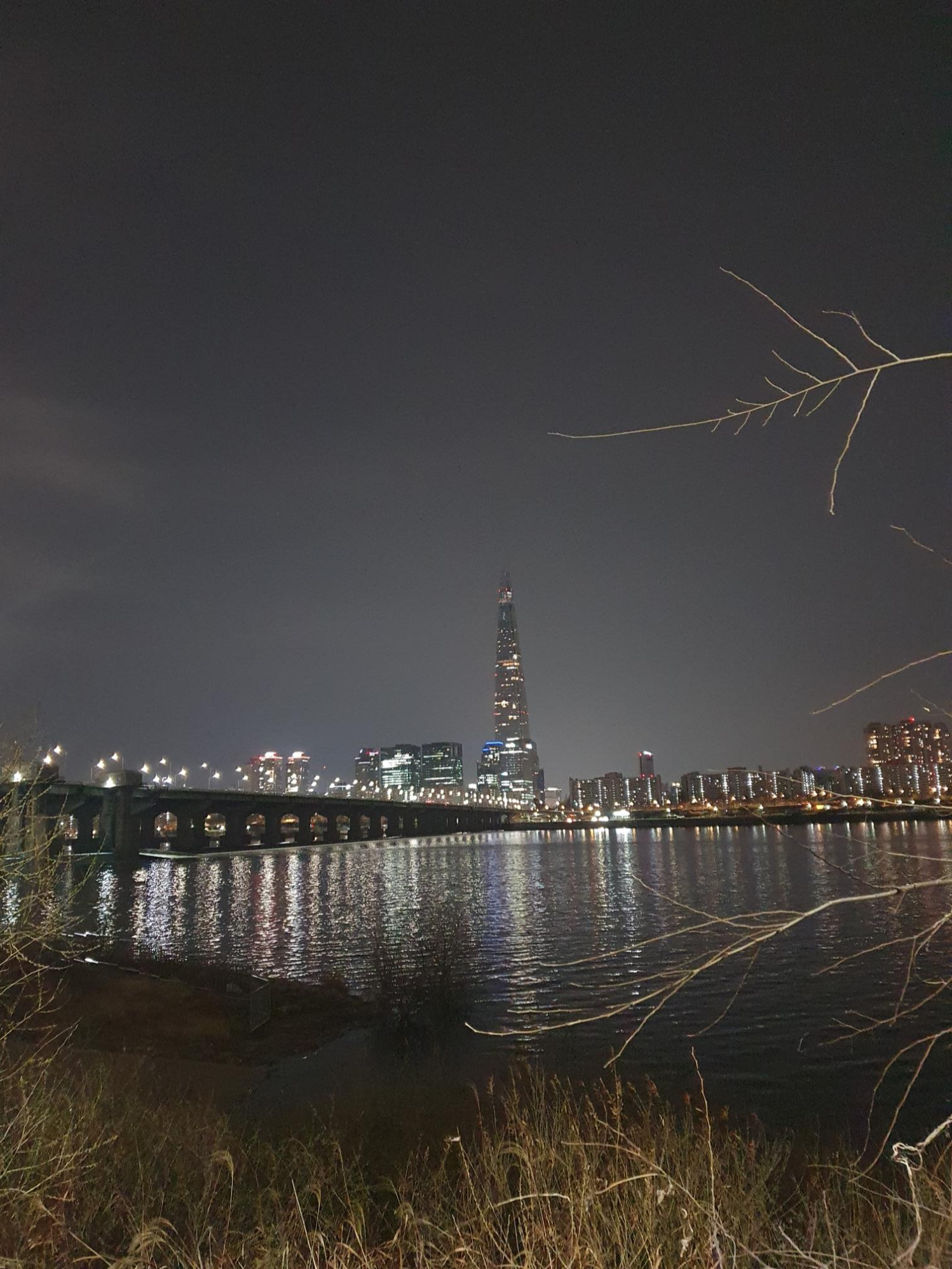  코로나19대비 면역력 증가 프로젝트, 한스장 개시
