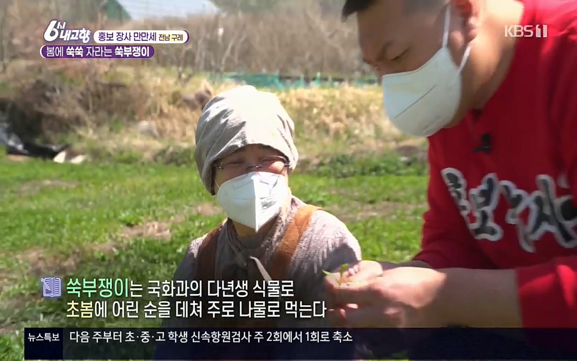 6시 내고향.E7509.220413p.H264-F1RST.mp4_20220418_193743.734.jpg