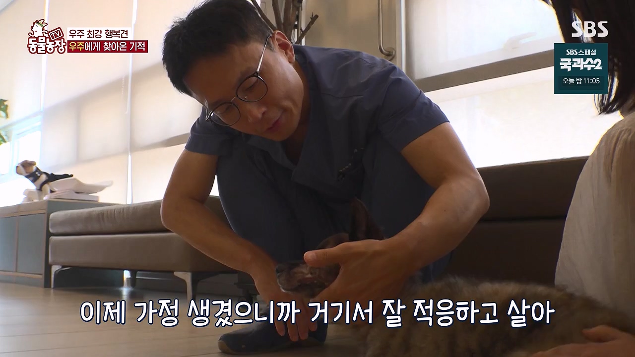 TV 동물농장.E1137.230911p-NEXT.mp4_20230910_183231.239.jpg