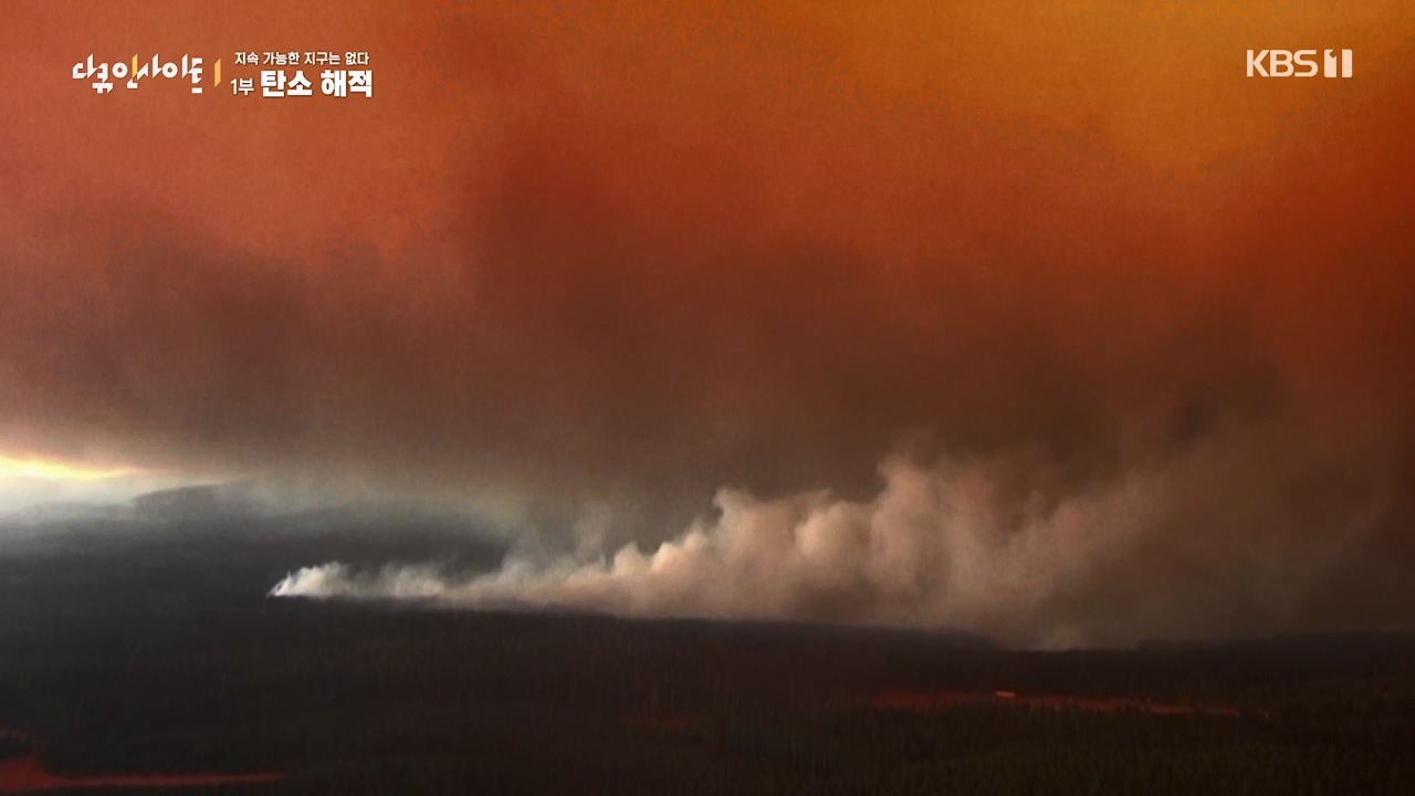 다큐 인사이트.E177.240112p-NEXT.mp4_20240113_155849.806.jpg