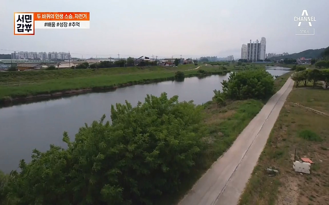 서민 갑부.E387.220612p-NEXT.mp4_20220612_184228.154.jpg