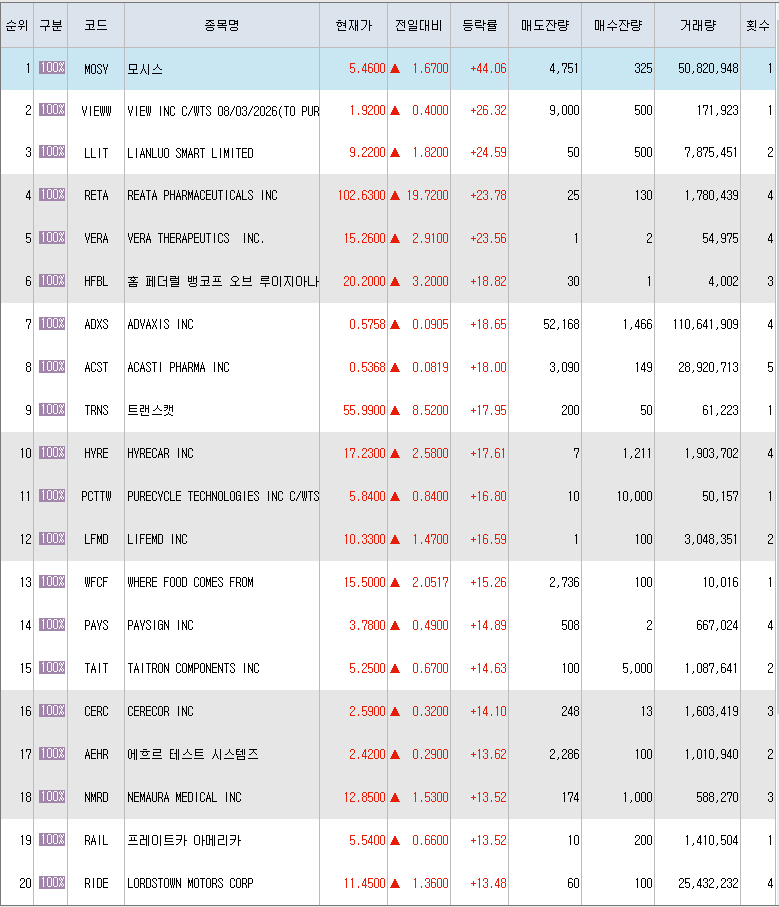  5월19일 미국주식 상승률 상위 종목 TOP 300