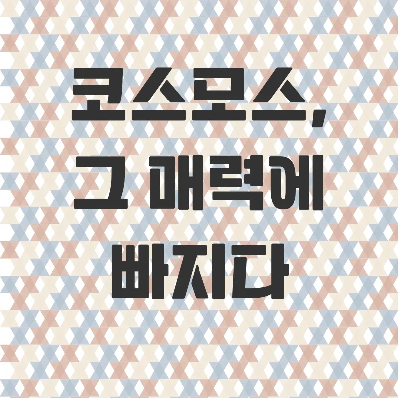 계양꽃마루 가을 코스모스_2